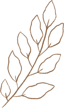 demo-attachment-294-GOLDEN-LEAF-1